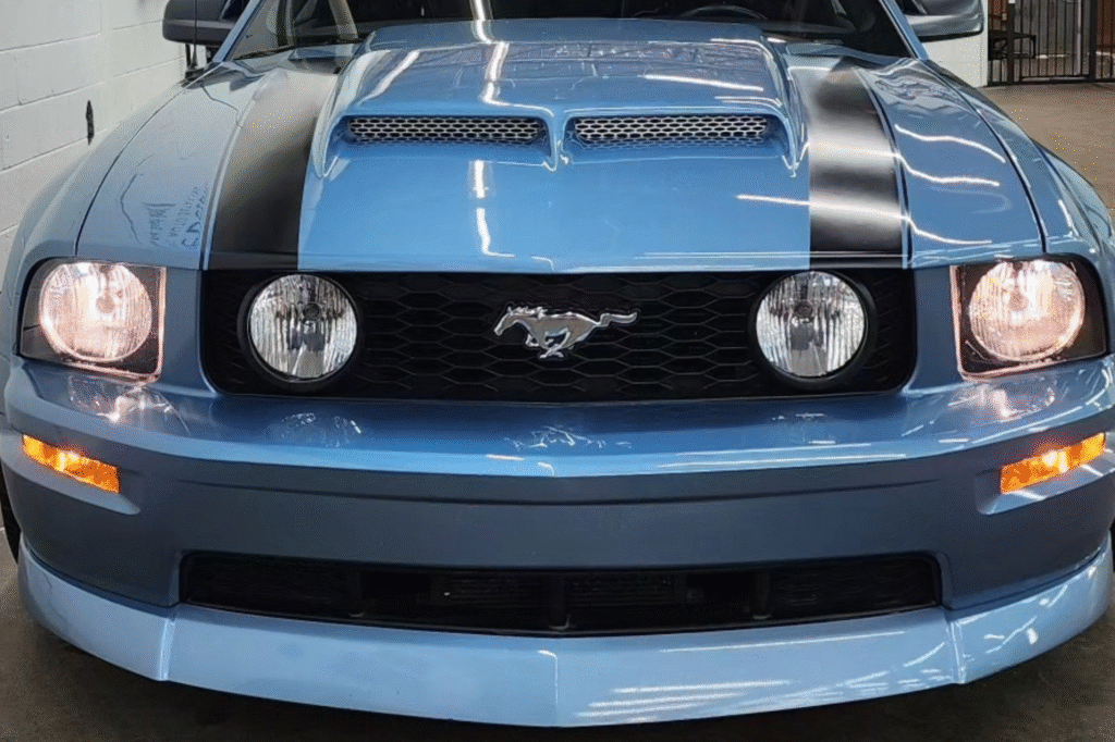 paint correction services