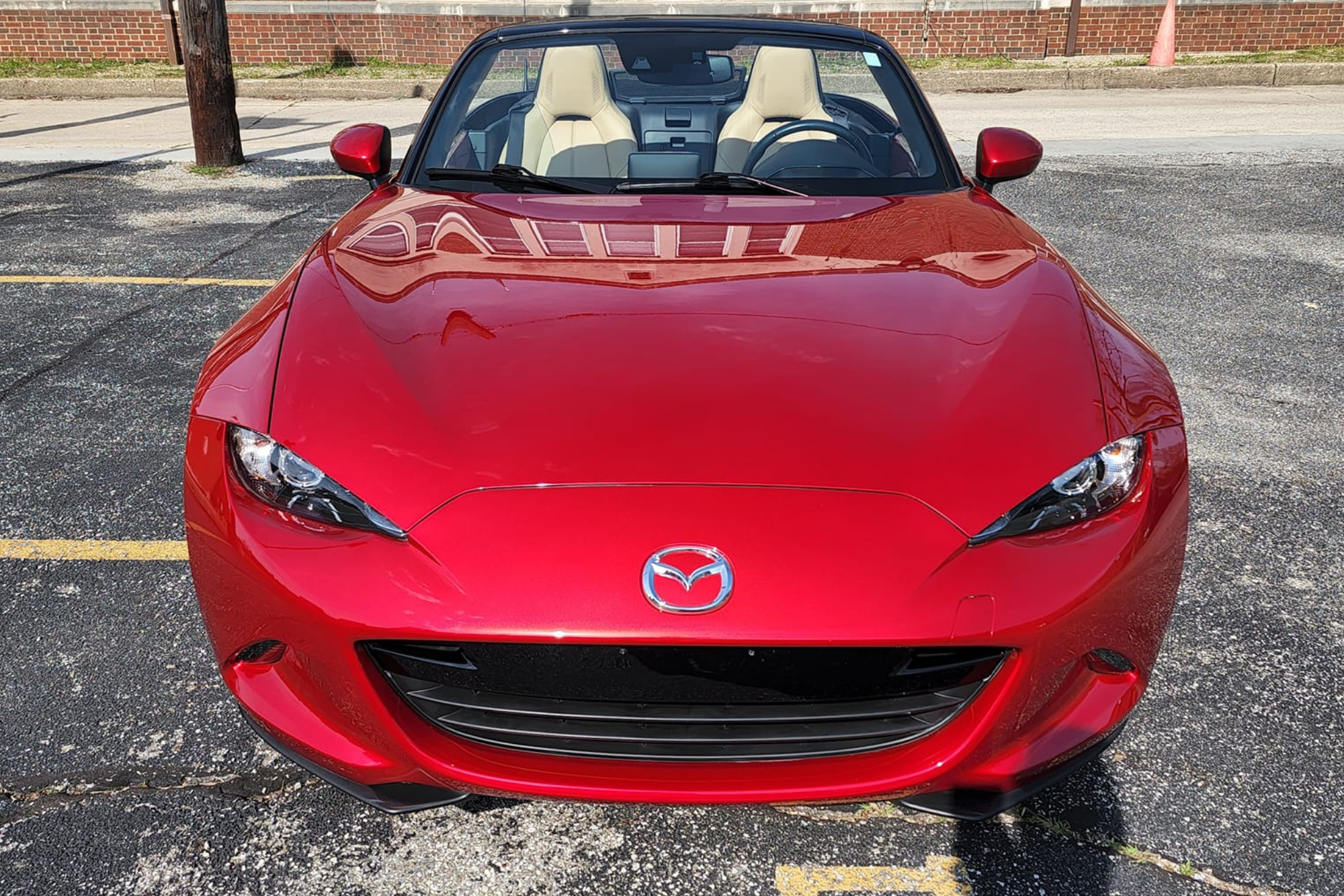 paint protection film south bend